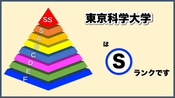 203a3feed92e438a22855962d6ffa8dd_1783473359_774.webp