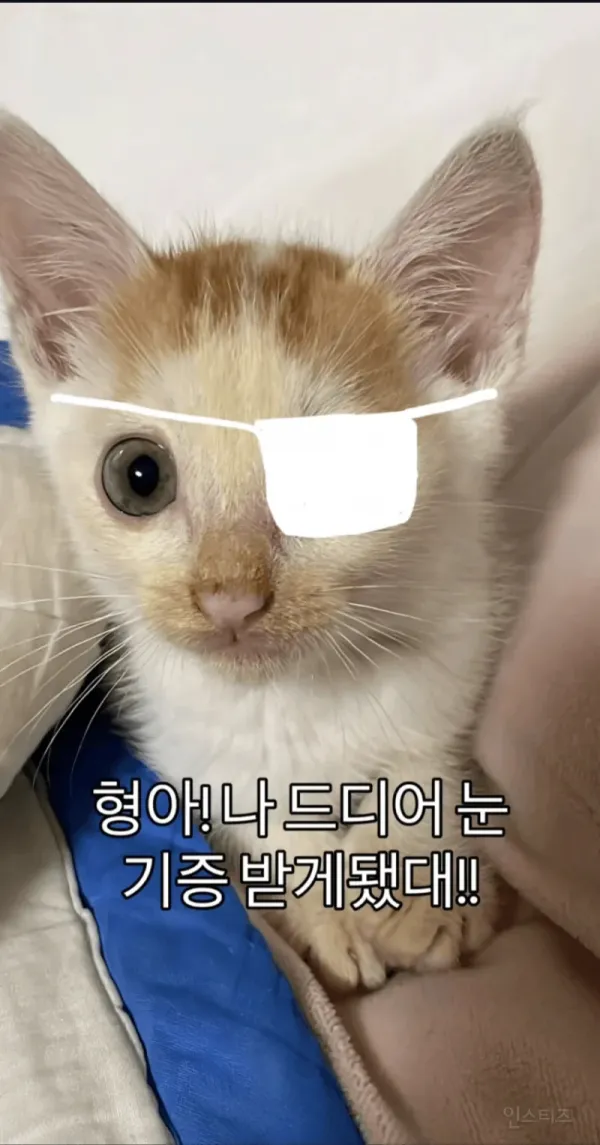 54764a6293f01f4e14a8473a2d0e92fd_1783842309_6548.webp