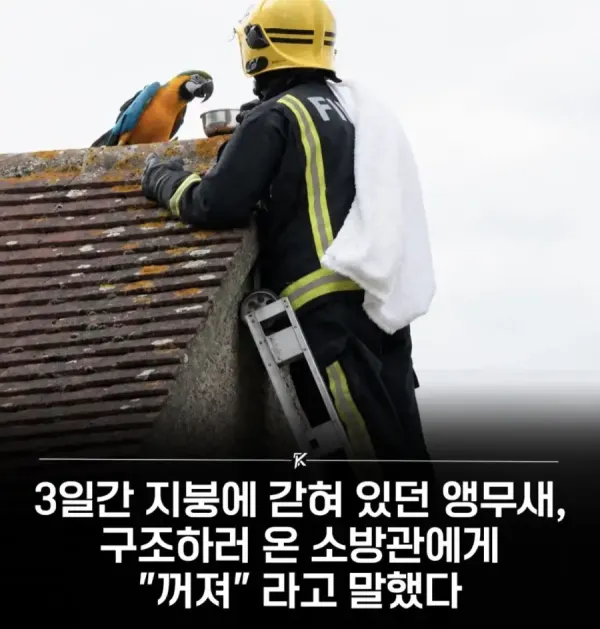 a6fa6a3bcfa57a5b69cc2035cd5380e5_1782964478_0885.webp