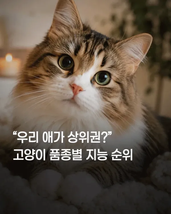 ad5b1e97ef05b8cbea3a29fbe2503dfd_1783725641_2105.webp
