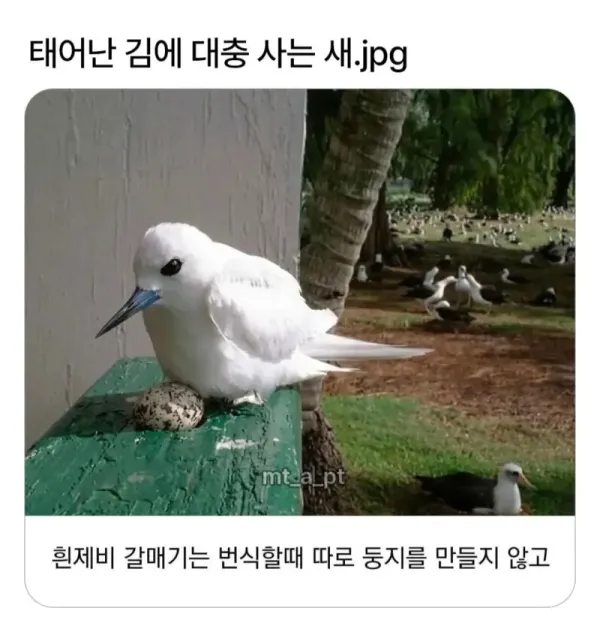 fe054a3a7abbe4d978de127a000250ff_1783576916_0567.webp