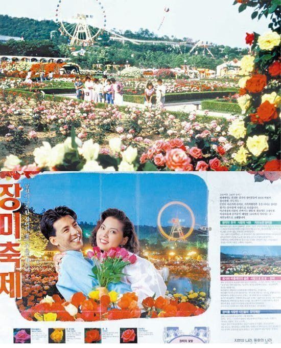 355050e99f2fbd18977a1a8a01c525ea_1790039402_2893.jpg