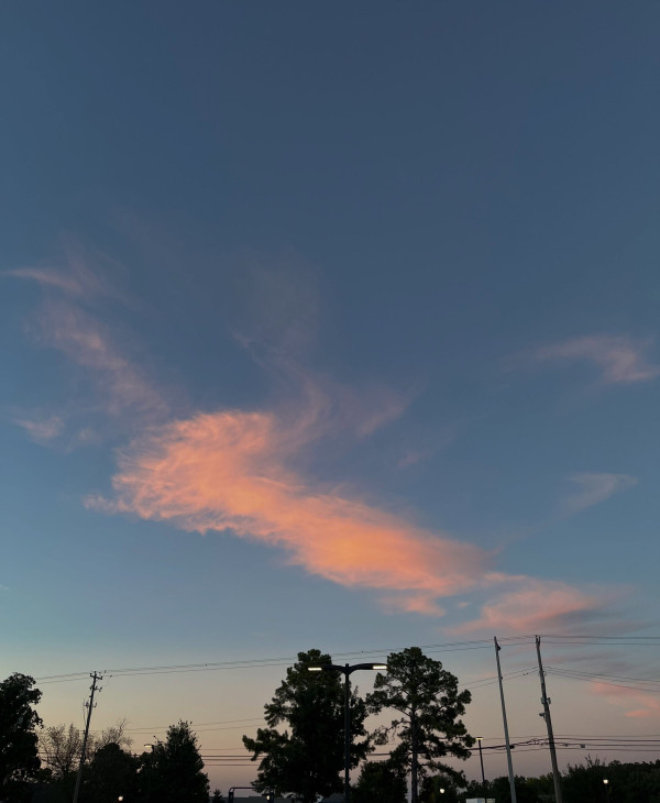01ebb76b75e98198215301887d678edc_1790316605_0968.jpg
