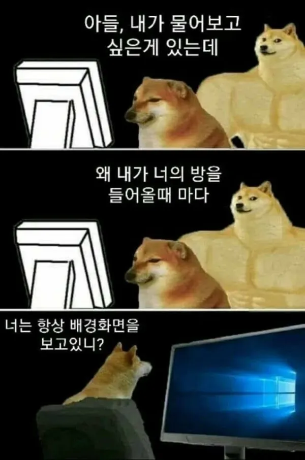 2ec14466edd55a4f71bc5ab90d8e861a_1790088001_8808.webp
