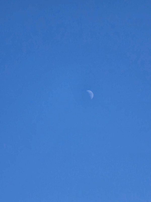 3c72700e53062030d0e0fe5f5df71112_1790109601_9707.jpg