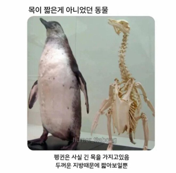 5555a5bfc39ac755d48ddda6e058e525_1790689201_4818.jpg