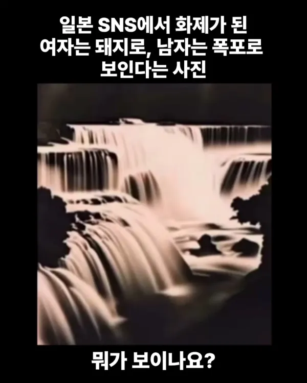 58b85f353718ccd19c7f864fd8b2ad01_1790663705_1849.webp