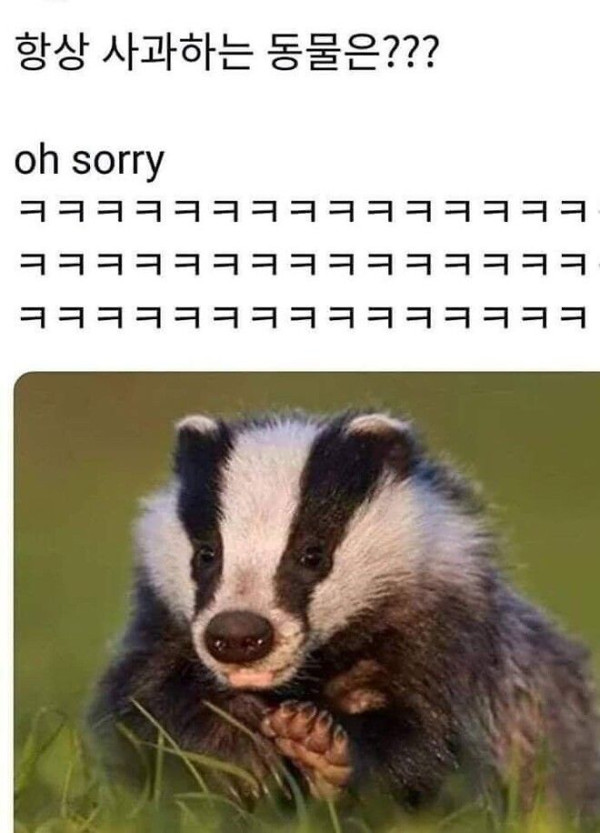 697c62faee51713999b2a116ed2e3e55_1790673002_4305.jpg
