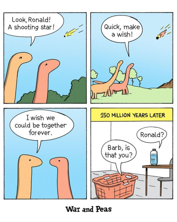 850f0c4f02b7c0c6c2cf28dca2e1617d_1790261401_7757.jpg