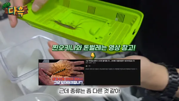 8bfb24d9e03a060186ca15bcfe6da0e2_1790309402_6394.webp
