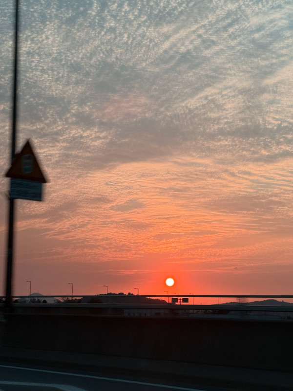 df0ca6307509a6de29d448a00049d813_1790752203_4952.jpg