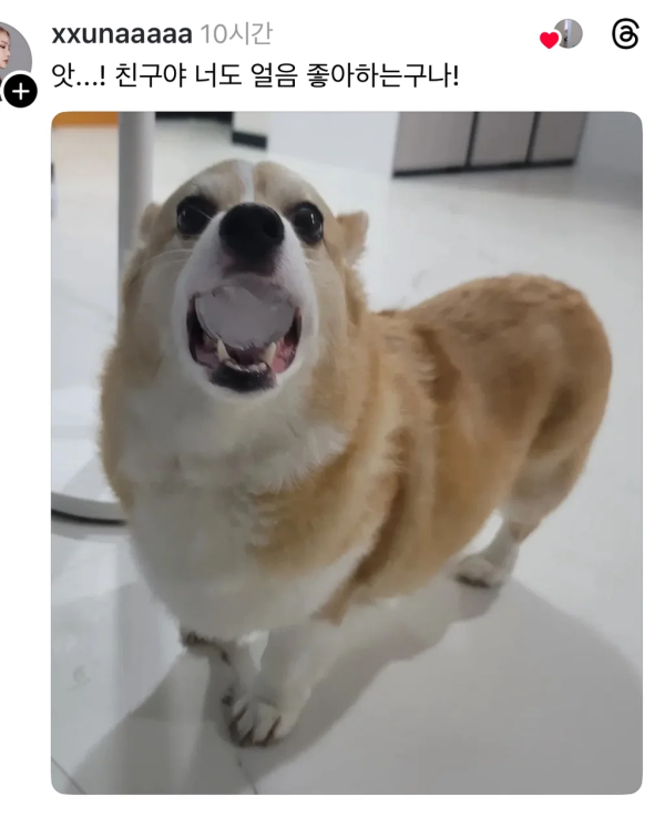 e6e2fadd5463473214bf72e59f15742c_1790138403_1255.png