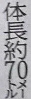 0c7ebfcb37b51ea217a8a2a066c8a375_1792501268_9947.webp