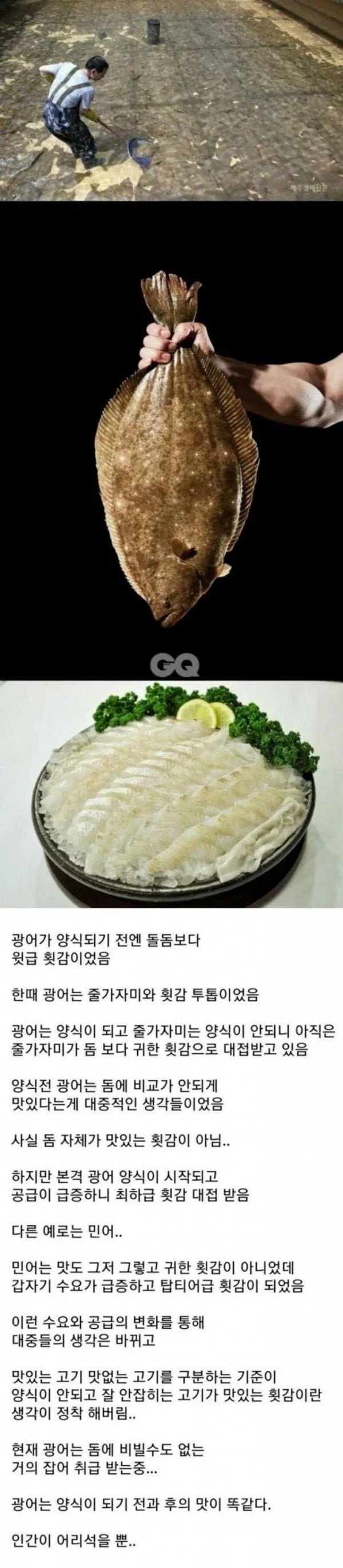 a8a6421802a062cc57d86ec39cc5b642_1791448319_21.webp