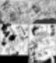d311ca89fff0303c64aba856b4165513_1790934001_7911.jpg