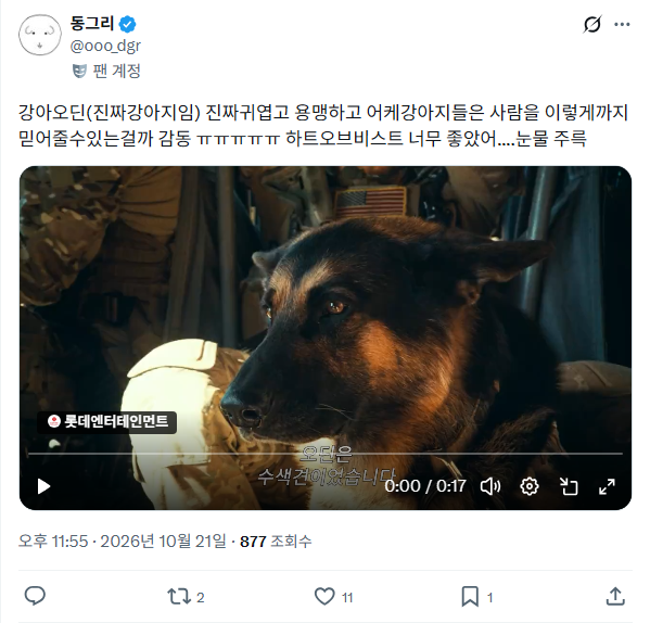 e46077111d4db4e6751cb167ef1471a9_1793314857_2453.png
