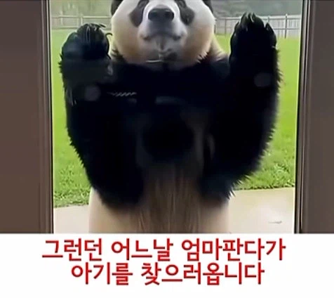 e68266d00b6c24dac1bb706b22d671ad_1791447061_159.webp