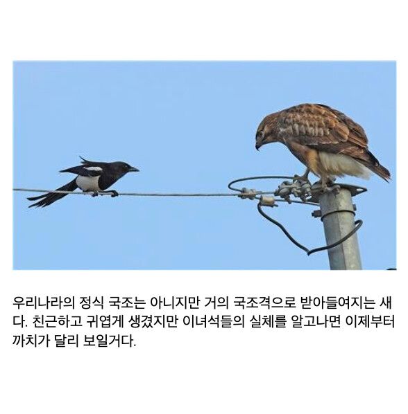 fcc7de0ce0f4704ef7add310799310bb_1790865602_2895.jpg