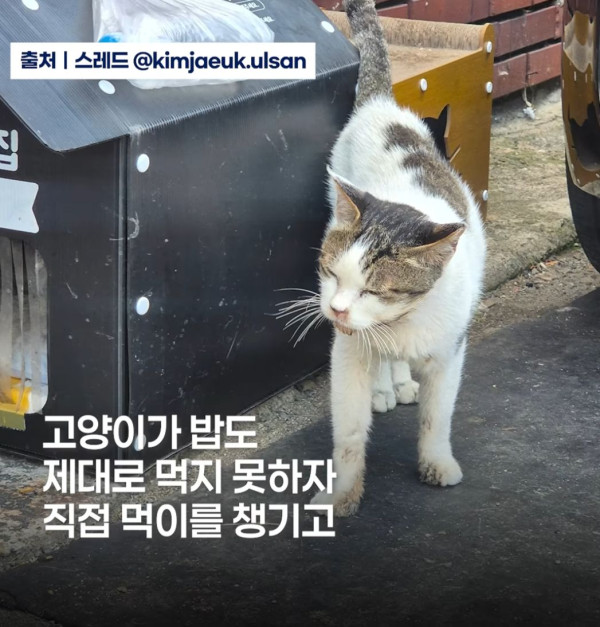 095ec4c40ded82d915f10aa821bdffea_1792740664_2073.jpg