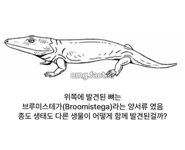 0fdff13d5b989a6a42bcc782efc5015e_1793253625_6769.webp