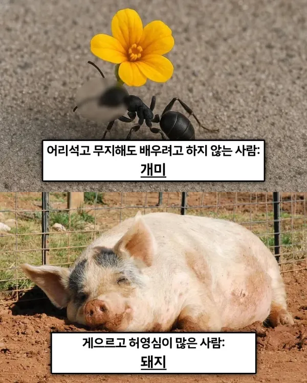 109346828d30d549945bd3de979523ba_1791544202_1958.webp