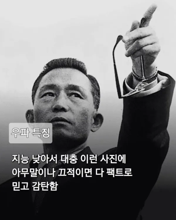 1714e59908a68f1ab1e87c12606c0a1f_1792078998_9338.webp