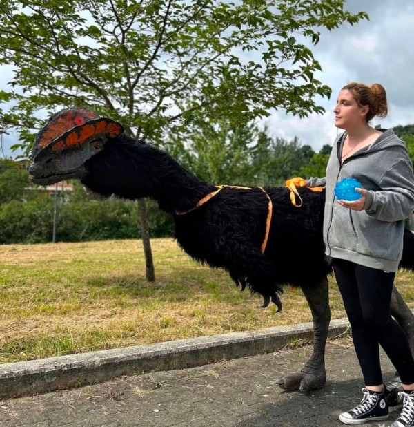 380bbdedd27412a43ba20a46b60e58b5_1792077494_1043.jpg