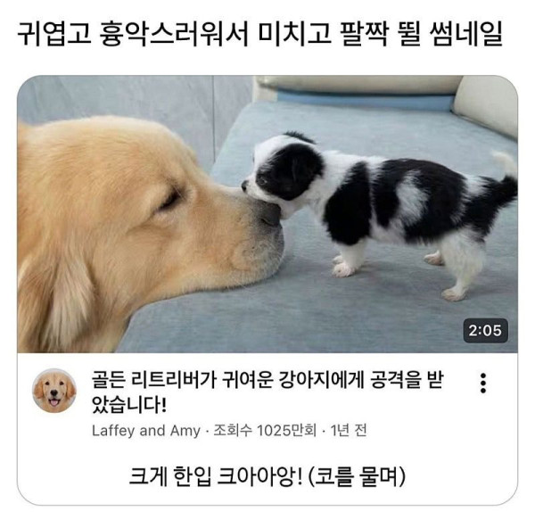 3b57b8ad2019c97a6473443670b4be6a_1792807218_1107.jpg