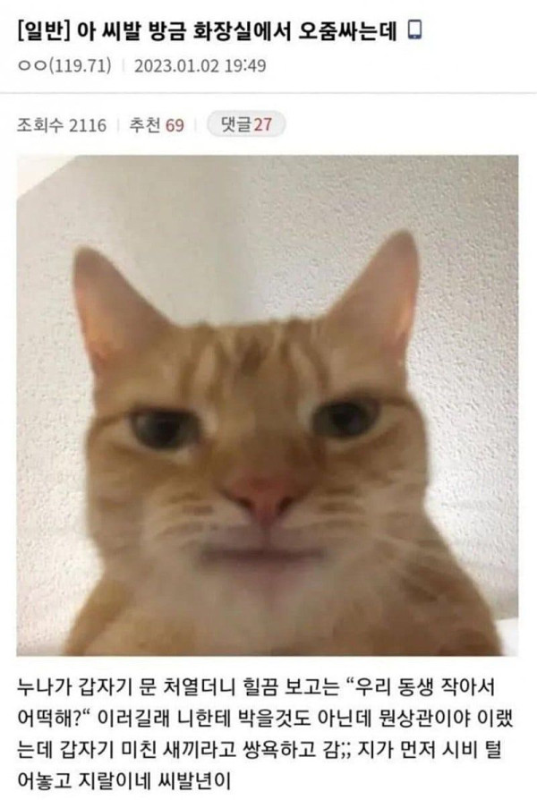 4c270ac6b9c5a980c767eee3f1c0c0a8_1793084744_2749.jpg