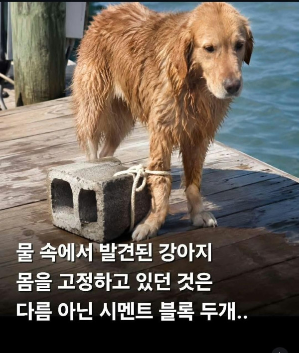 5e9d60a33c86d6fa8809cb5fd2dbacfb_1792157493_9307.jpg