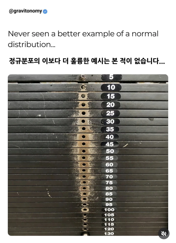 7e4a2e3d1aaf704d2b9a4c0a49a1a2cc_1792079111_0808.png