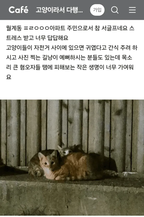 8b05138ec000e68787d733b0a9fb0d86_1792105276_0372.webp