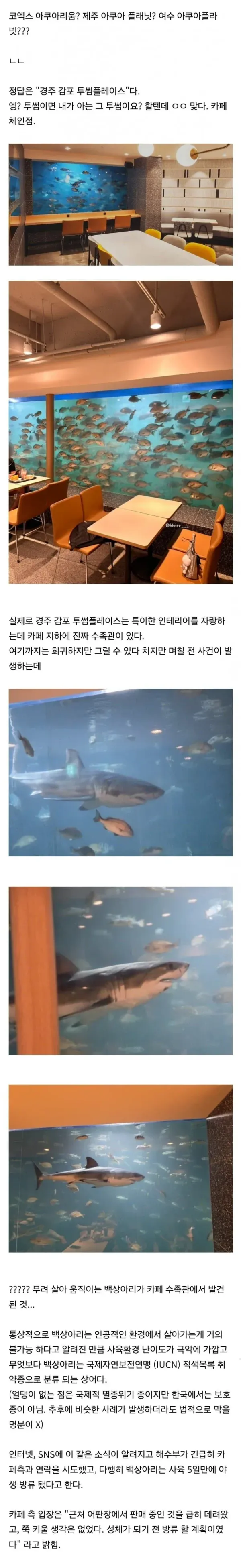 92ecda19c9530ff3327ad9392d188d45_1791184202_025.webp