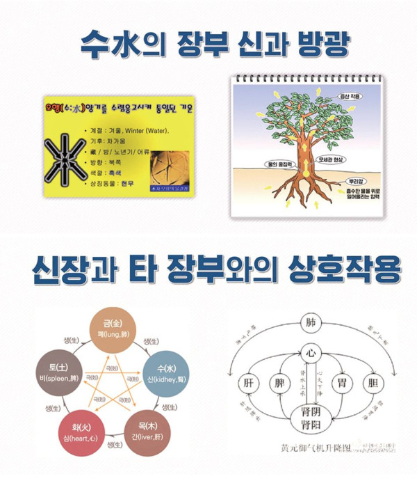 abe27314fb1c70a8b8d4de86438015f6_1792231317_587.jpg