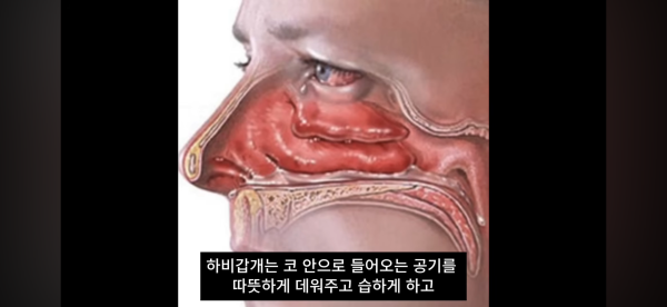 ae12ed13c9a0c9c42020dbbb77be3808_1791159006_1573.png