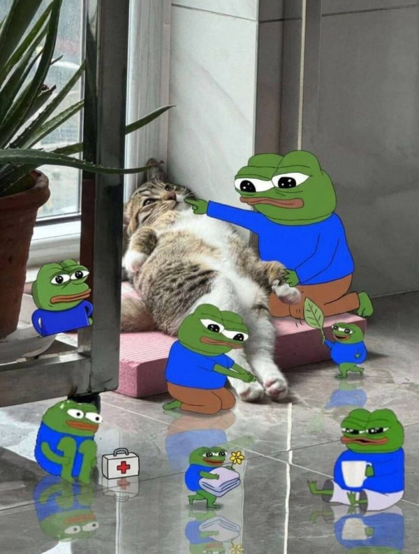c5d0c2b7925f5969f9d895d4b0a3dd92_1792079127_4024.jpg