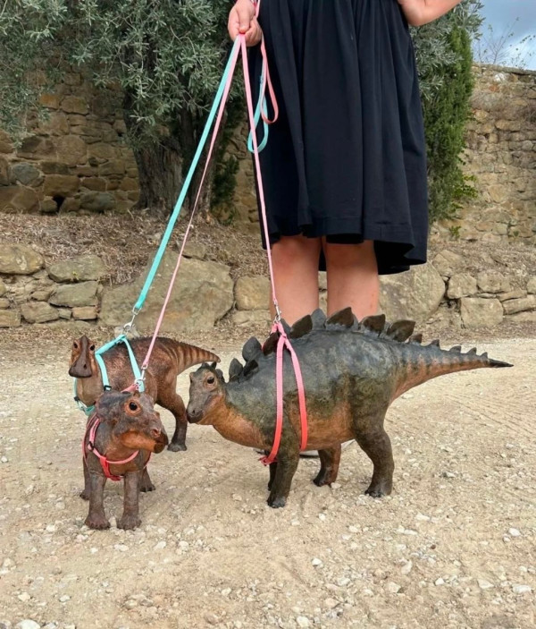 d11de7ada2eefdce38b83be1eb08d769_1792077456_5619.jpg