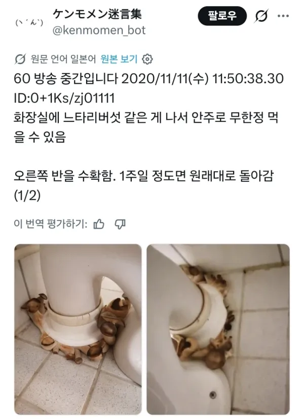 d2469bc2867764b6b00a7e4180ca7f21_1791000601_9721.webp