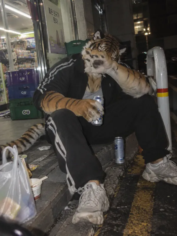 e3262189c7b0a3b287bea41089d6de32_1793336458_2291.webp