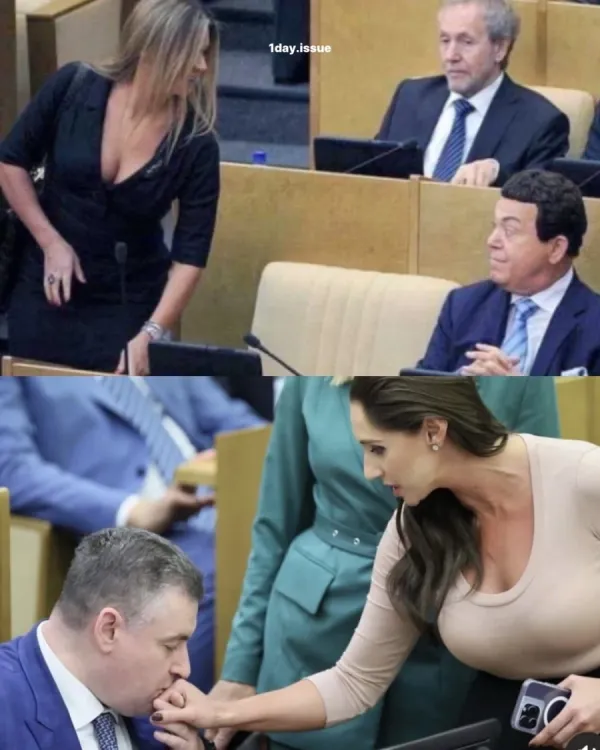 e367626352931d43c9d29a69153d58bc_1791063601_4055.webp