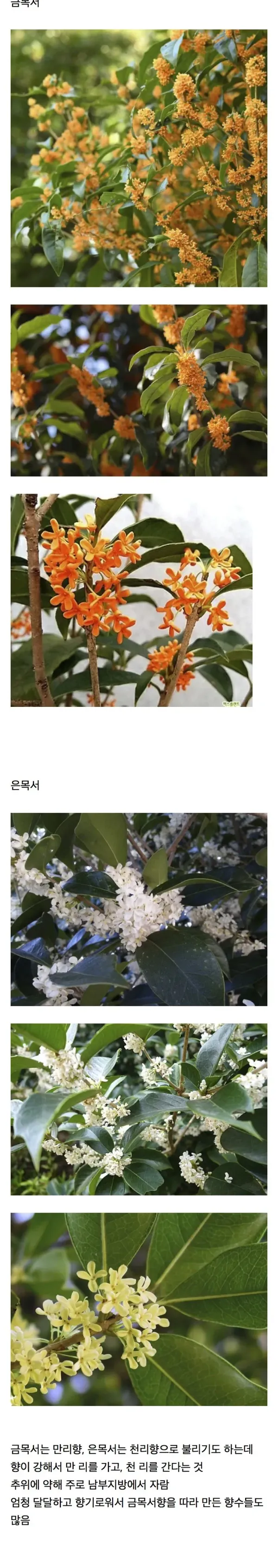 fa871d50280f89f3237ecff18fd5dbe9_1790971802_2954.webp